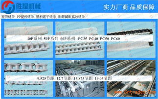 漯河刮泥機(jī)塑料鏈條廠家直銷如何在上海通過互聯(lián)網(wǎng)實(shí)現(xiàn)銷售突圍